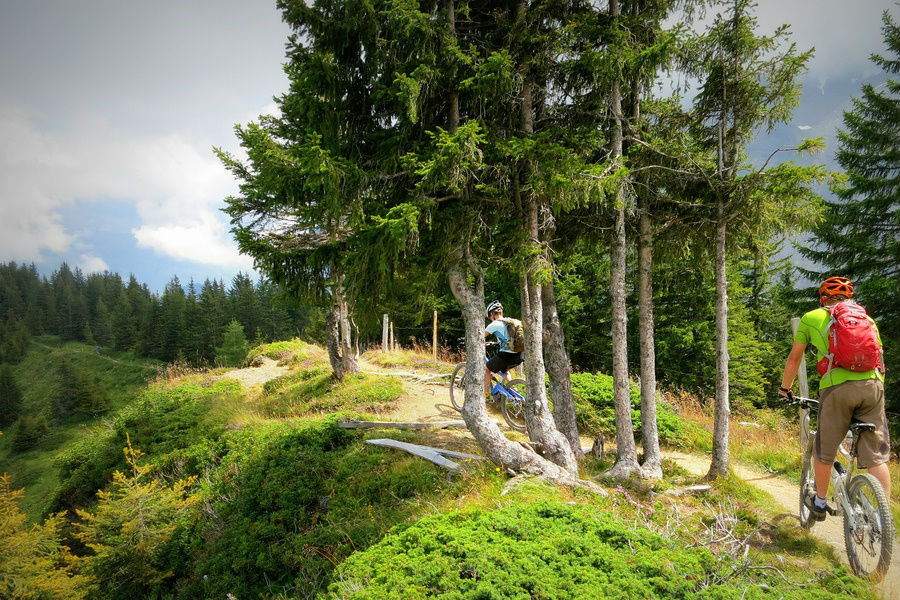 Mountain Biking In The Alps, Everything You Need To Know