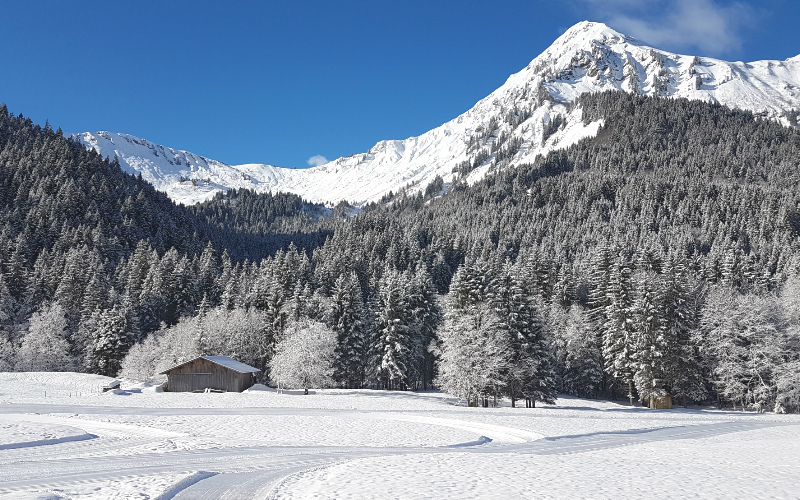 Winter Catered Chalets in Morzine and Les Gets
